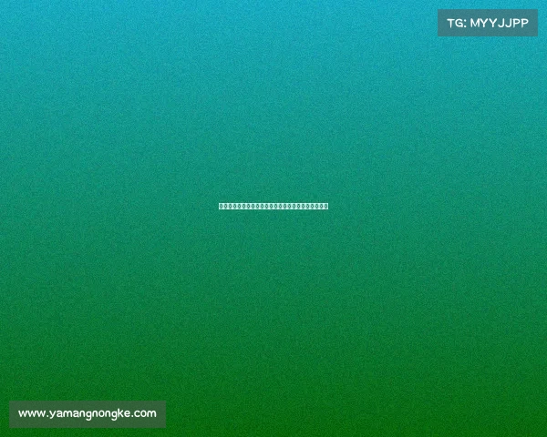 南京承办体育赛事展现城市活力推动体育文化蓬勃发展